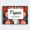 Bright & Beautiful Pigeon