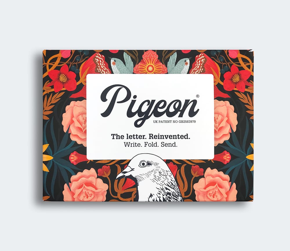 Bright & Beautiful Pigeon